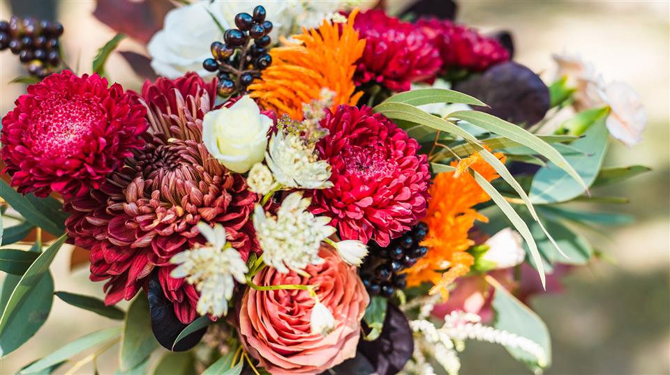 Hopmarket Flowers